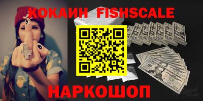 индика Гатчина