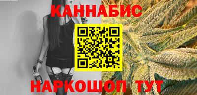 индика Гатчина