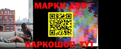 индика Гатчина