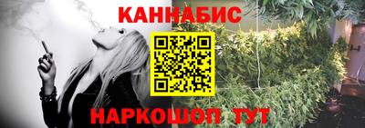 индика Гатчина
