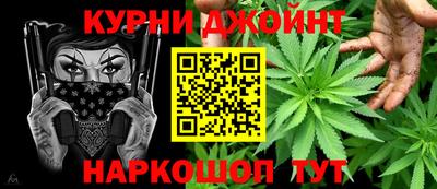 индика Гатчина