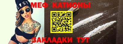 индика Гатчина